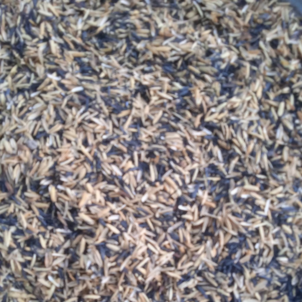 trấu hun 100g ( trồng sen đá ,dâu tây , việt quất )