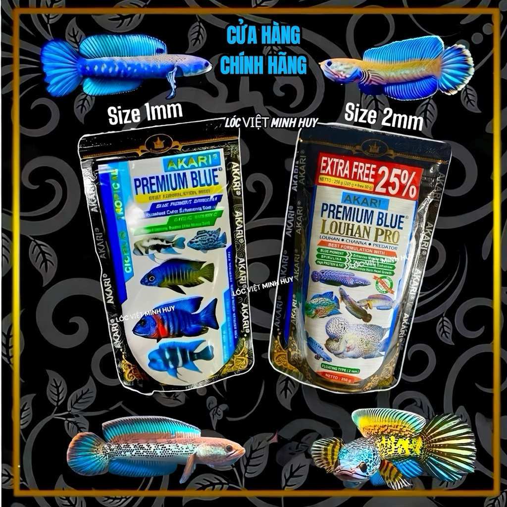Cám Akari Blue Hỗ Trợ vây kì màu sắc  Cho Lóc Lạnh-cá lan hán…