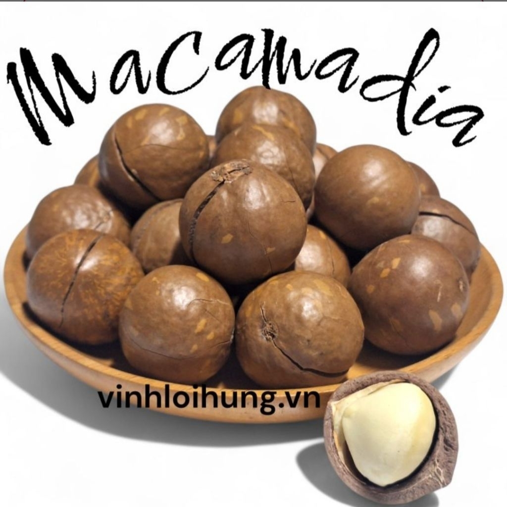 HẠT MACA LÂM ĐỒNG