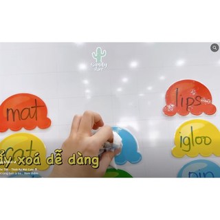 [Học liệu Sandy] Bộ kem ốc quế 25 chi tiết