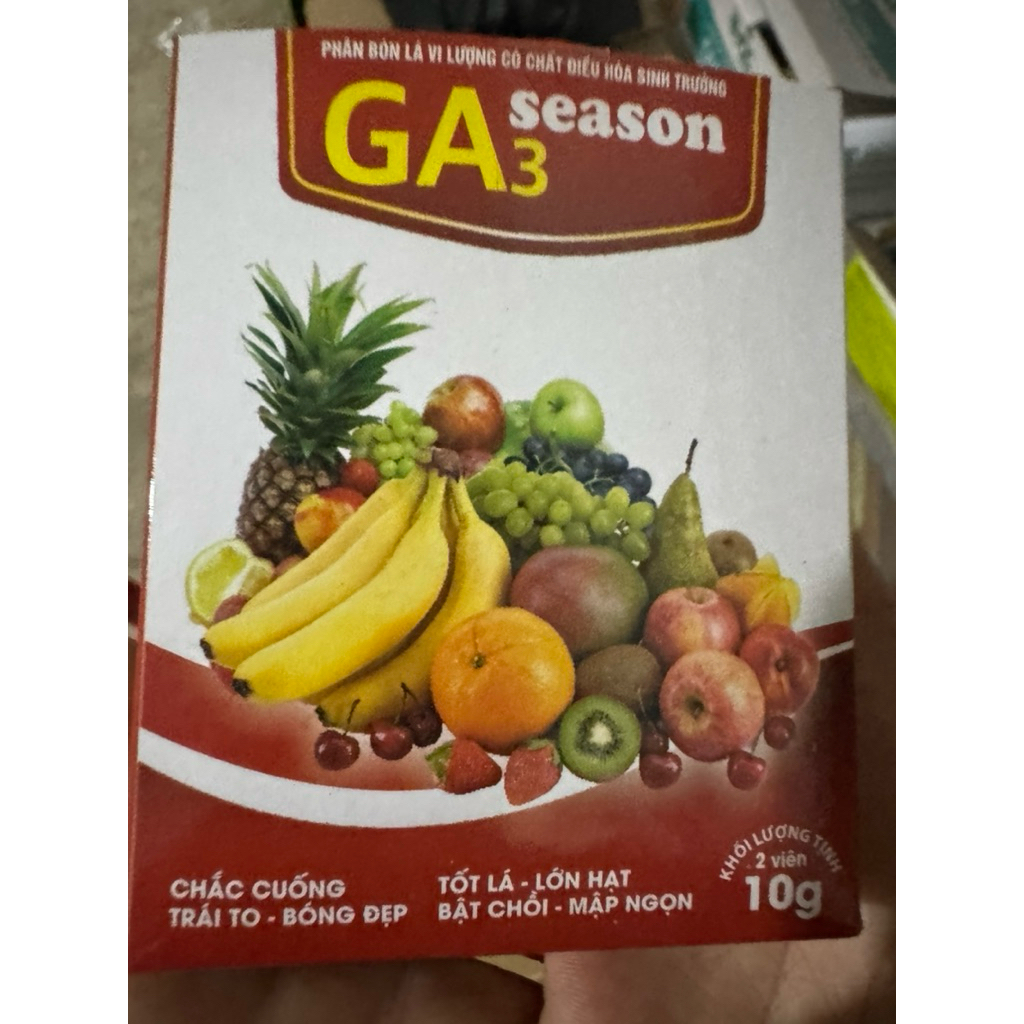 GA3 mập cành, vươn lá, GA3 to trái