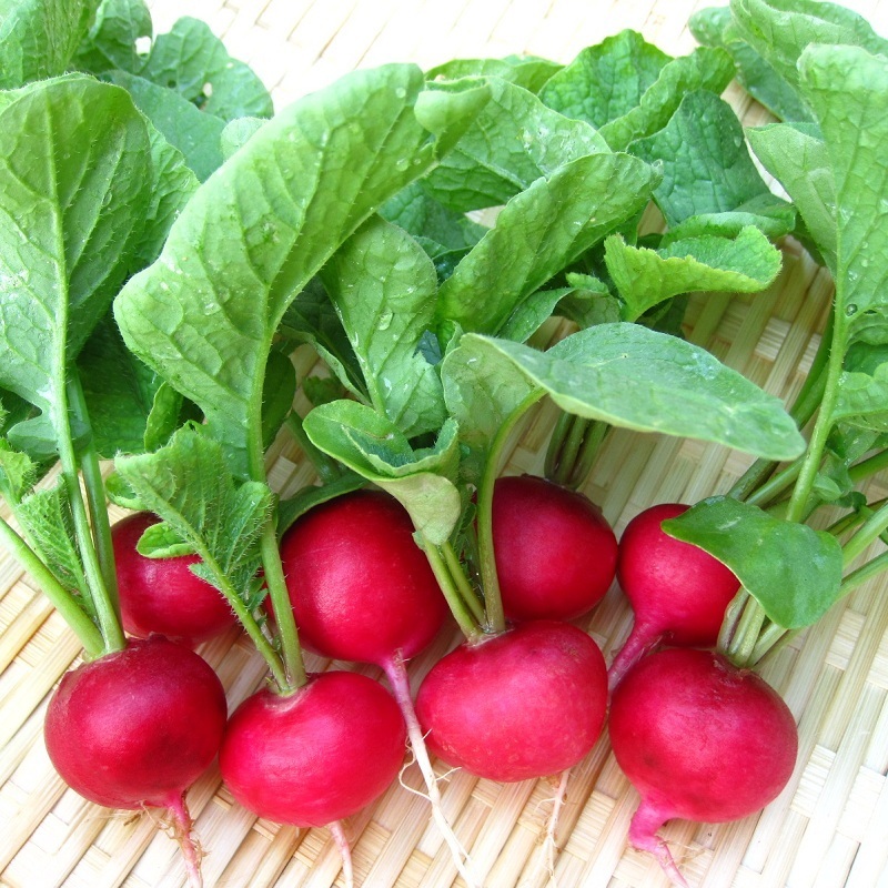 Củ Cải Đỏ Cherry ( 3gram )