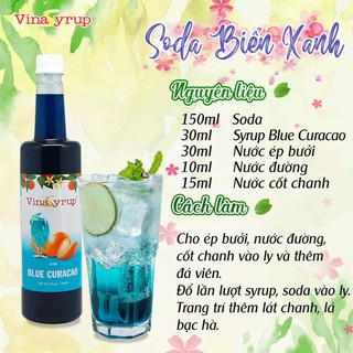 Siro Vina chai 750ml (đủ hương)