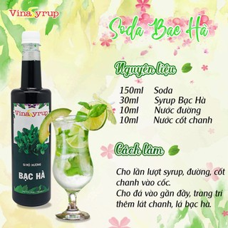 Siro Vina chai 750ml (đủ hương)