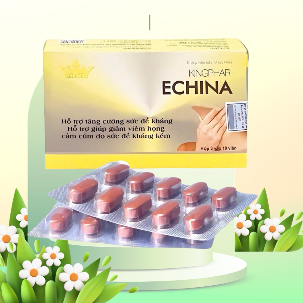 Echina Kingphar 1 , hộp 30 viên, tăng cường sức đề kháng