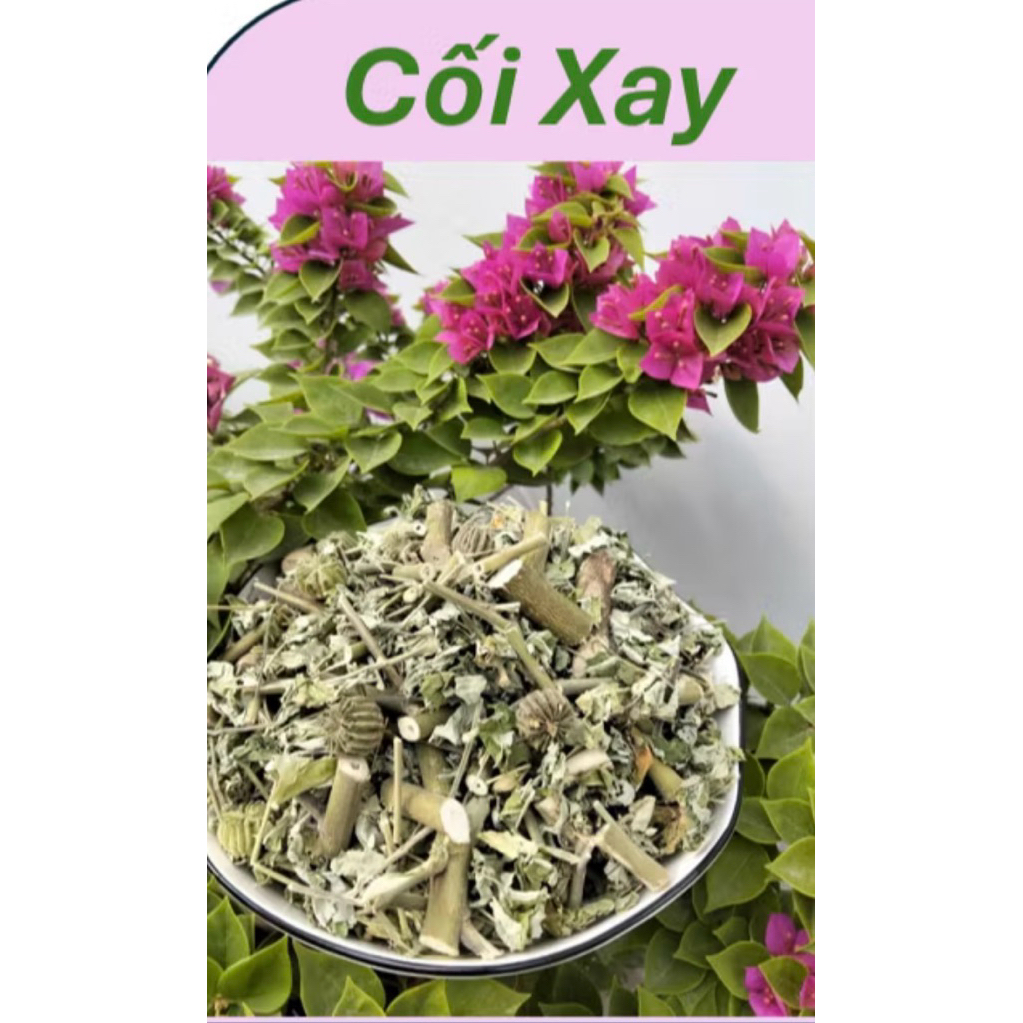 1 kg vị CỐI XAY khô sạch đẹp hỗ trợ điều trị giảm đau, điều hoà lipit máu, bảo vệ gan…
