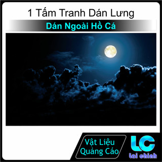 Tranh 3d Decal có sẵn keo, Tranh Dán Bể Cá Thủy Sinh, Bể Cá Rồng (Tranh Dán Lưng)_ MT 38