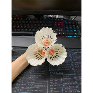 1 ống cầu lông cũ 3 Sao ProX, TC 77,… 80%~90% sử dụng tốt giá rẻ (12 quả) [NHẬN HÀNG NHƯ ẢNH]