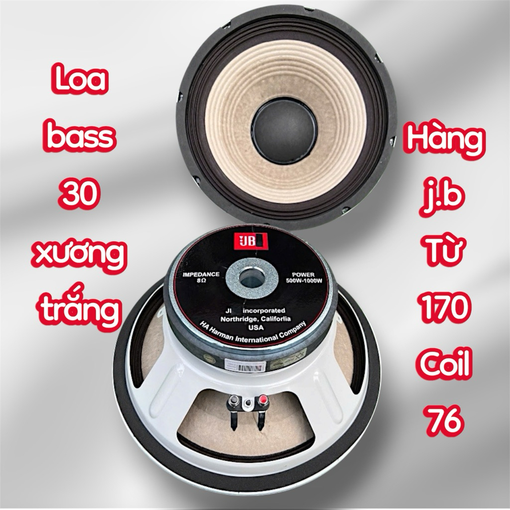loa bass 30 từ 170 coil 65 xương sắt màu trắng- hàng nhập khẩu (giá 1 loa)