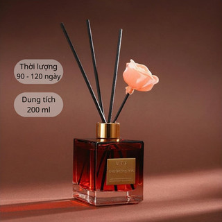 Tinh Dầu Thơm Phòng Aroma Hương Thơm Nước Hoa Sang Trọng Khử Mùi Không Khí