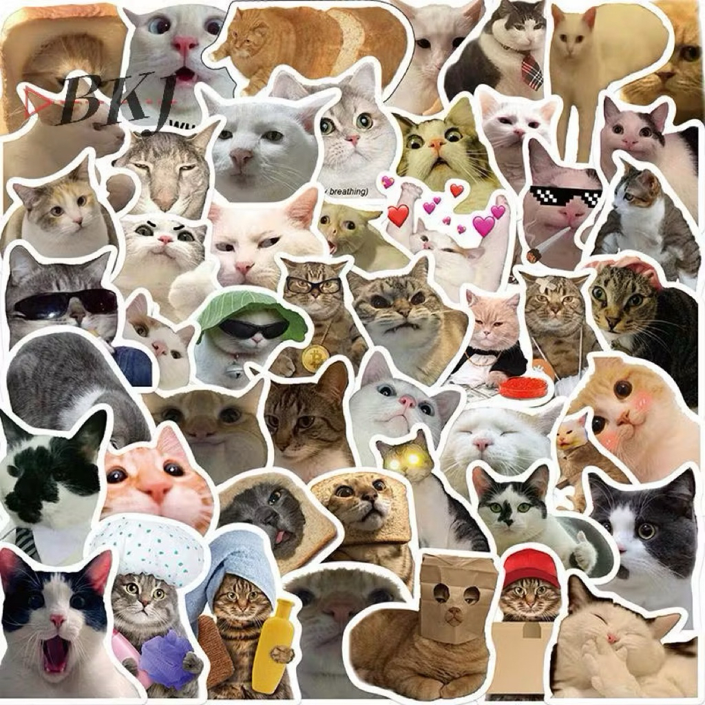 Sticker mèo thực tế dễ thương 60 hình bóc dán khác nhau / sticker mèo meme / hình dán meme mèo cute