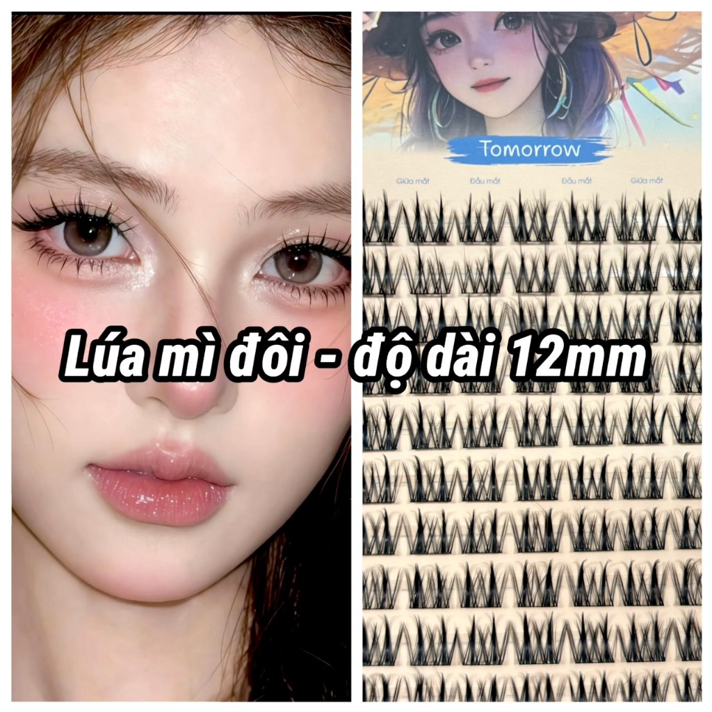 Mi Giả TOMORROW, Mi LÚA MÌ ĐÔI thước lông mi 12mm