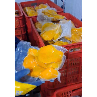 (HOẢ TỐC HCM) XOÀI CẤP ĐÔNG TÚI 1KG