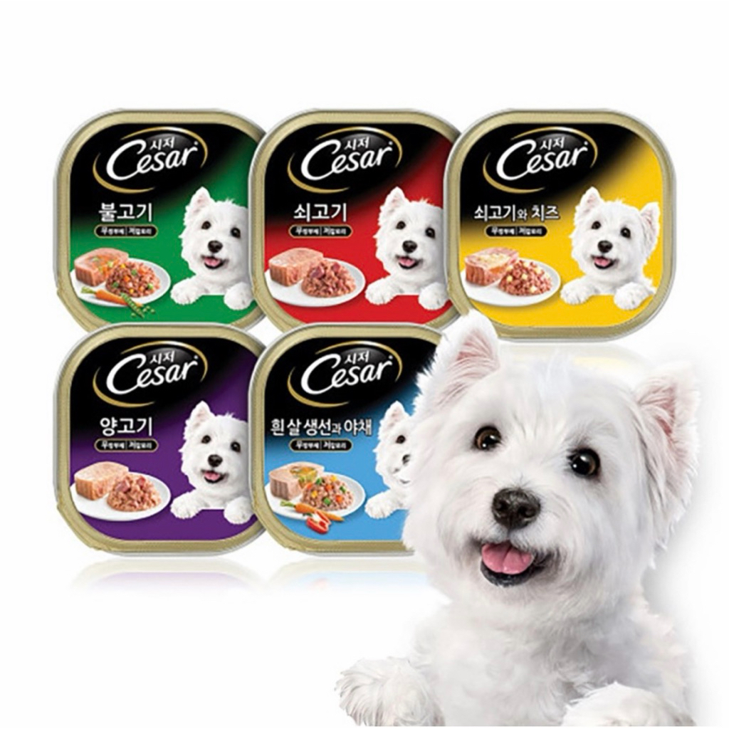 Pate cho chó Cesar Hàn Quốc