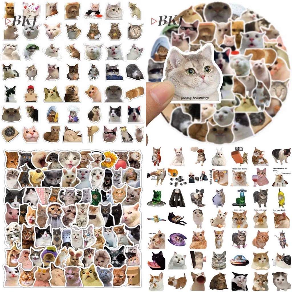Hình dán mèo meme 60 hình ép lụa bóc dán/ sticker mèo thực tế dễ thương / ảnh sticker mèo meme đáng 