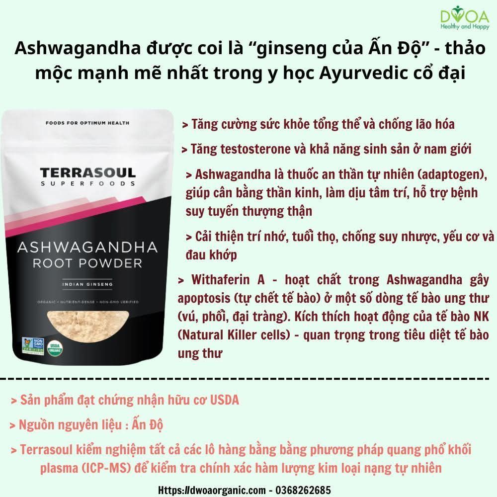 Bột nhân sâm Ấn Ashwagandha hữu cơ Terrasoul