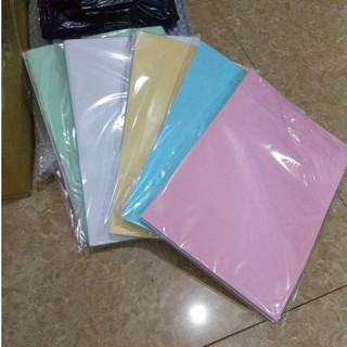 Giấy màu A4/80gms - 100 tờ