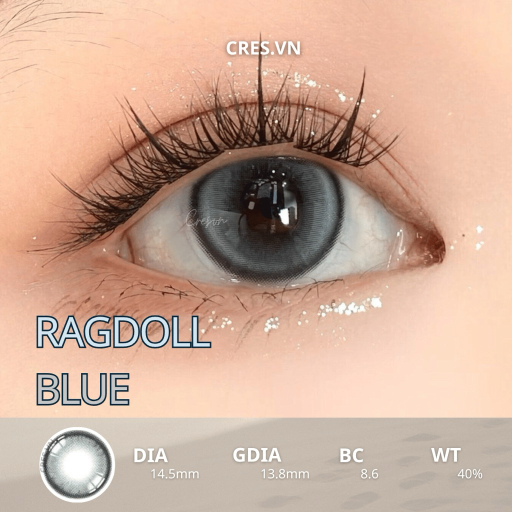 [ Buy 2 Get 1 ] RAGDOLL BLUE l Lens CRES tone Douyin xanh mắt mèo đối xứng 14.5MM
