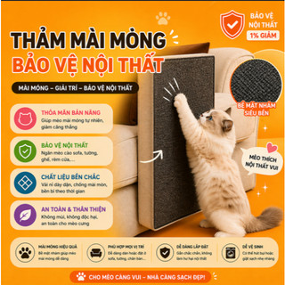 Thảm mài móng mèo, thảm dính cào móng mèo, bảo vệ nội thất, đồ chơi cho chó mèo