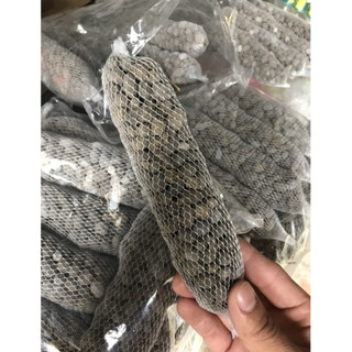 10 túi phân dê trồng lan 20cm