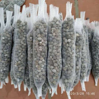10 túi phân dê trồng lan 20cm