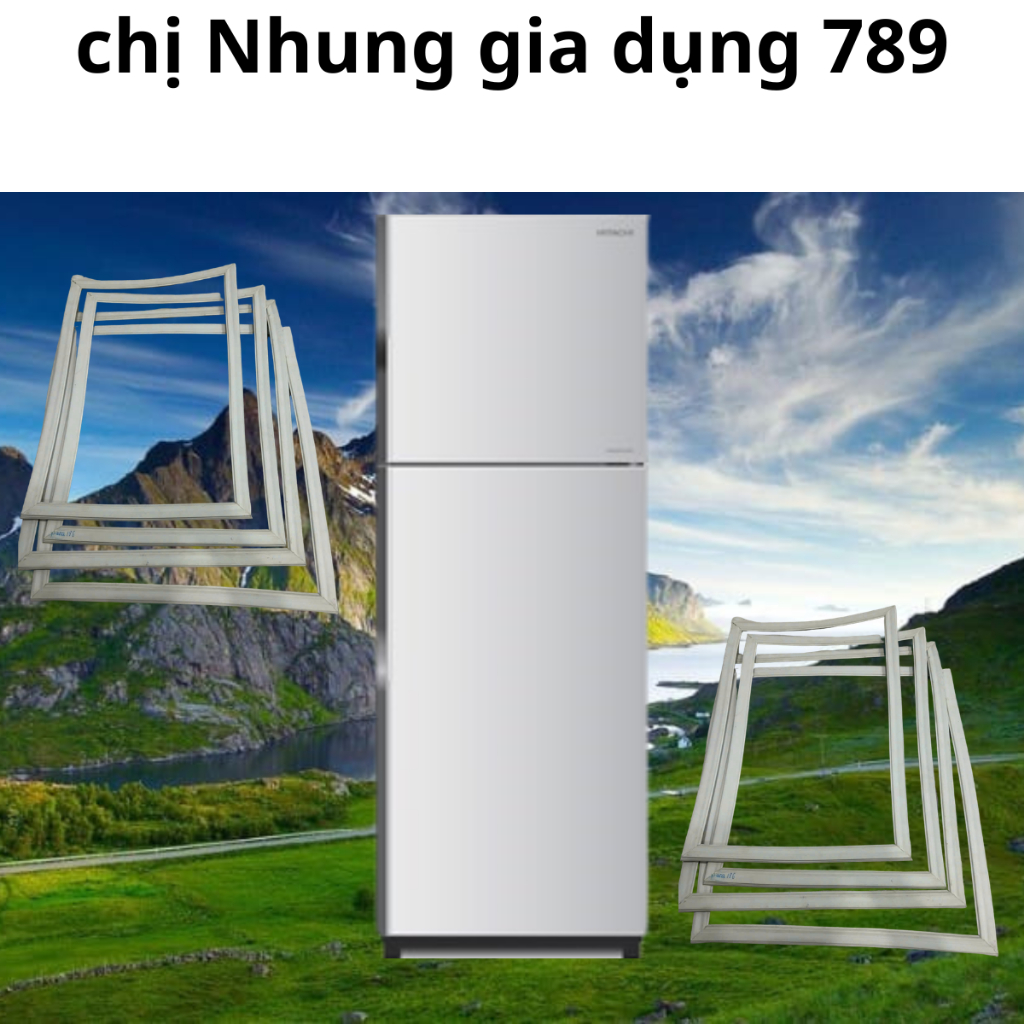 RON TỦ LẠNH HITACHI R - H350PGV4