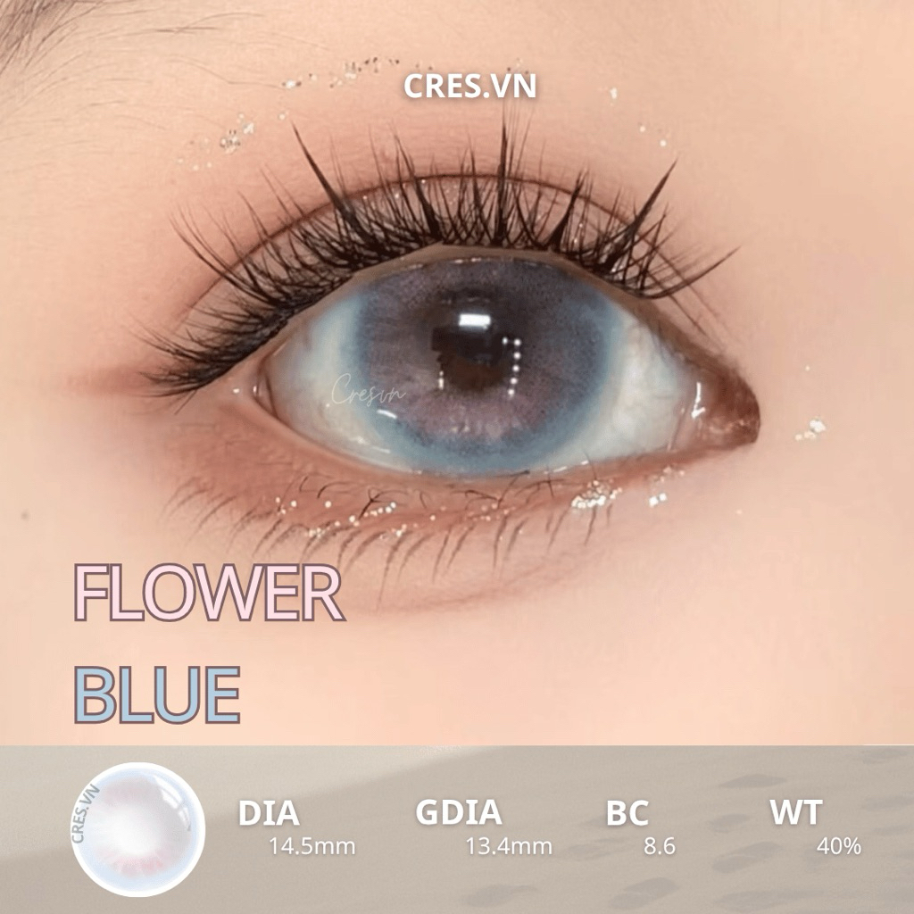 [ Buy 2 Get 1 ] FLOWER BLUE l Lens Douyin viền xanh ánh hồng Best Seller 14.5MM