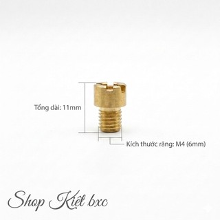 BÌNH XĂNG CON: 10 GICLO CHÍNH PHỤ SIRIUS (XĂNG CƠ)