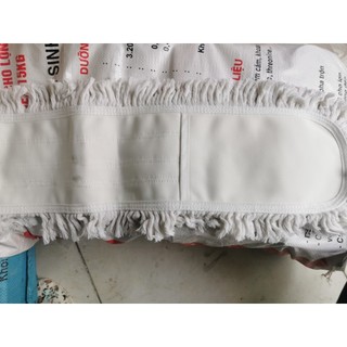 Cây lau bụi công nghiệp 90cm giá rẻ
