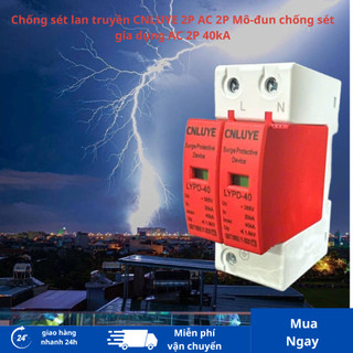 Chống sét lan truyền cắt sét cho điện xoay chiều CNLUYE SPD AC 2P 40kA, thiết bị chống sét modum dùng trong gia đình