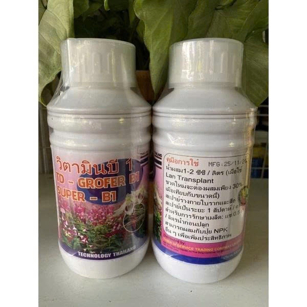 B1 Grofer Thái 500ml - Kích rễ