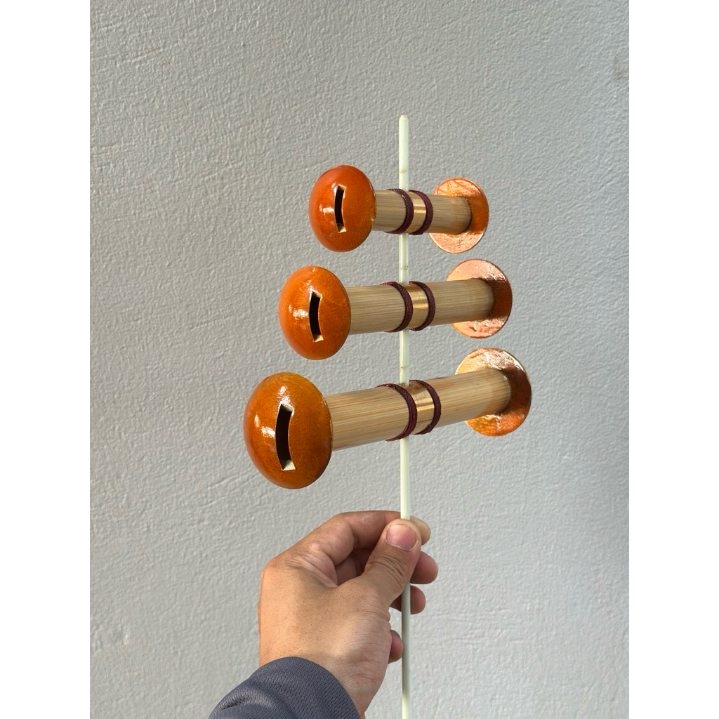 Sáo Đẩu D25