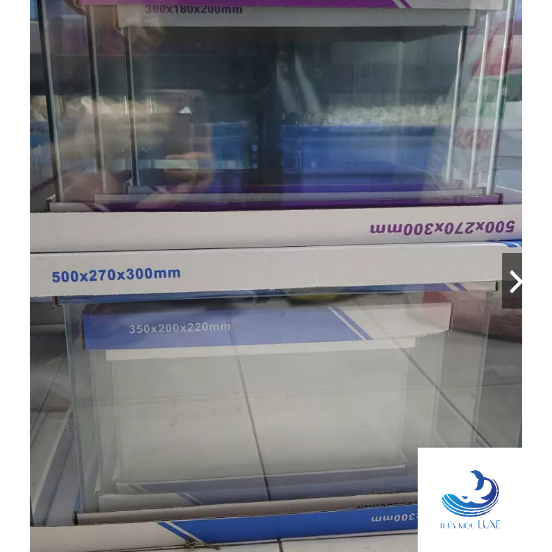 [SHIP TOÀN QUỐC] Bể kính đúc [Size:60-50-40-35-30-23-18cm] Bể cá mini | Hồ cá thủy sinh