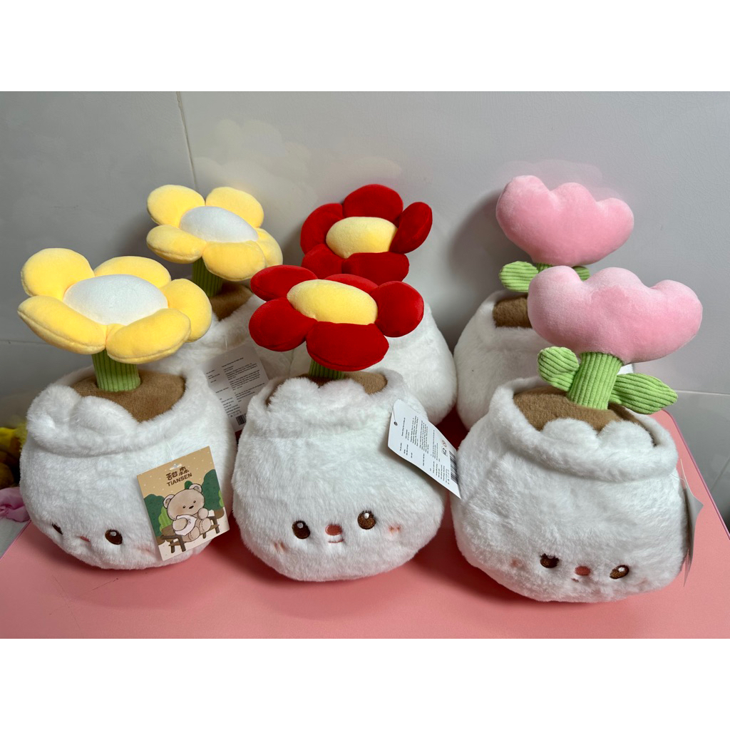 gấu bông chậu hoa, ,chậu hoa gấu bông hình loppy, hoa tulip, hoa đồng tiền, ( ảnh thật) sp new chuẩn