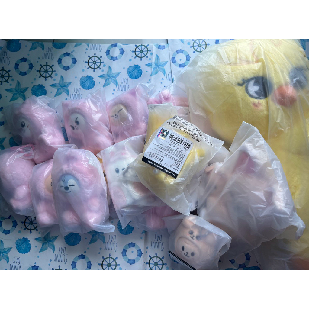 [CHÍNH HÃNG/OFFCIAL] Skzoo Stray kids CELEBRATE 5 o clock toy story gấu bông plush