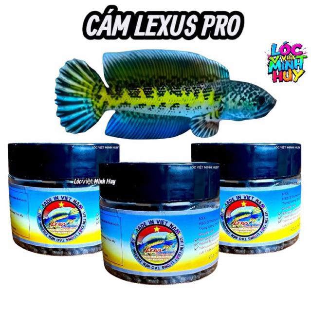 Cám Lexus For Auranti  Pro+ -lexus channa fish feed  khung xương, nan finch, kỳ finch cao-màu sắc…