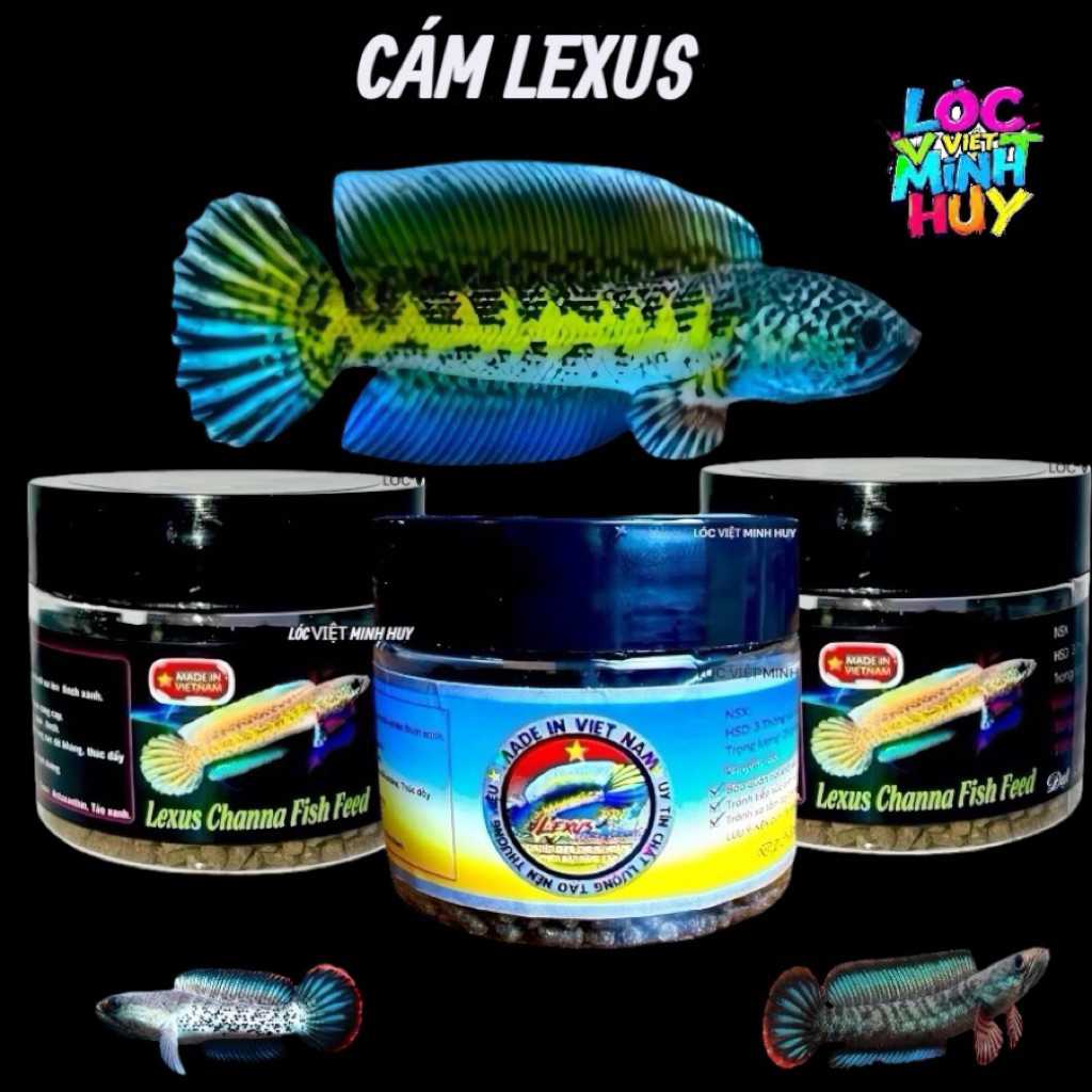 Cám lexus channa fish feed -lexus pro -cám cao cấp cho nữ hoàng và cho lóc lạnh,khung xương,nan finc