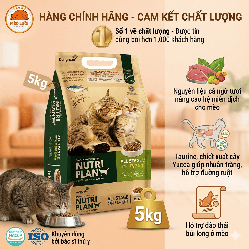 [5kg] Hạt Cho Mèo Nutri Plan / Nutriplan Cat All Stage Plus - Dinh Dưỡng Toàn Diện Cho Mọi Lứa Tuổi | Mèo Lười