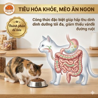 [5kg] Hạt Cho Mèo Nutri Plan / Nutriplan Cat All Stage Plus - Dinh Dưỡng Toàn Diện Cho Mọi Lứa Tuổi | Mèo Lười
