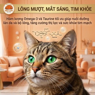 [5kg] Hạt Cho Mèo Nutri Plan / Nutriplan Cat All Stage Plus - Dinh Dưỡng Toàn Diện Cho Mọi Lứa Tuổi | Mèo Lười
