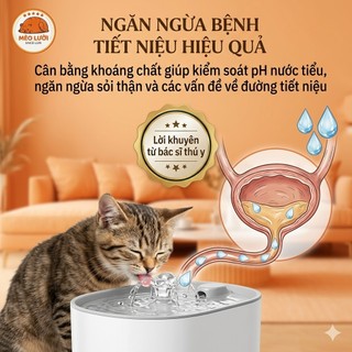 [5kg] Hạt Cho Mèo Nutri Plan / Nutriplan Cat All Stage Plus - Dinh Dưỡng Toàn Diện Cho Mọi Lứa Tuổi | Mèo Lười