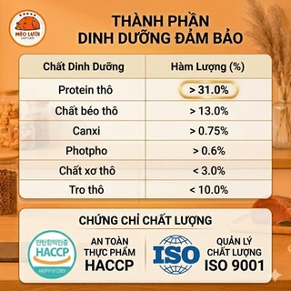 [5kg] Hạt Cho Mèo Nutri Plan / Nutriplan Cat All Stage Plus - Dinh Dưỡng Toàn Diện Cho Mọi Lứa Tuổi | Mèo Lười