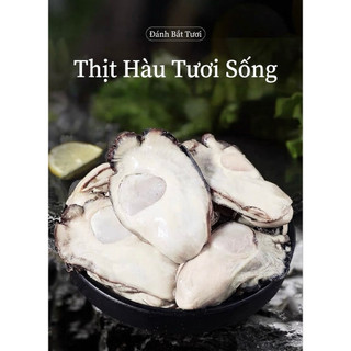 Hoả Tốc - Ruột Hàu Sữa Hàn Quốc Chuẩn Sashimi