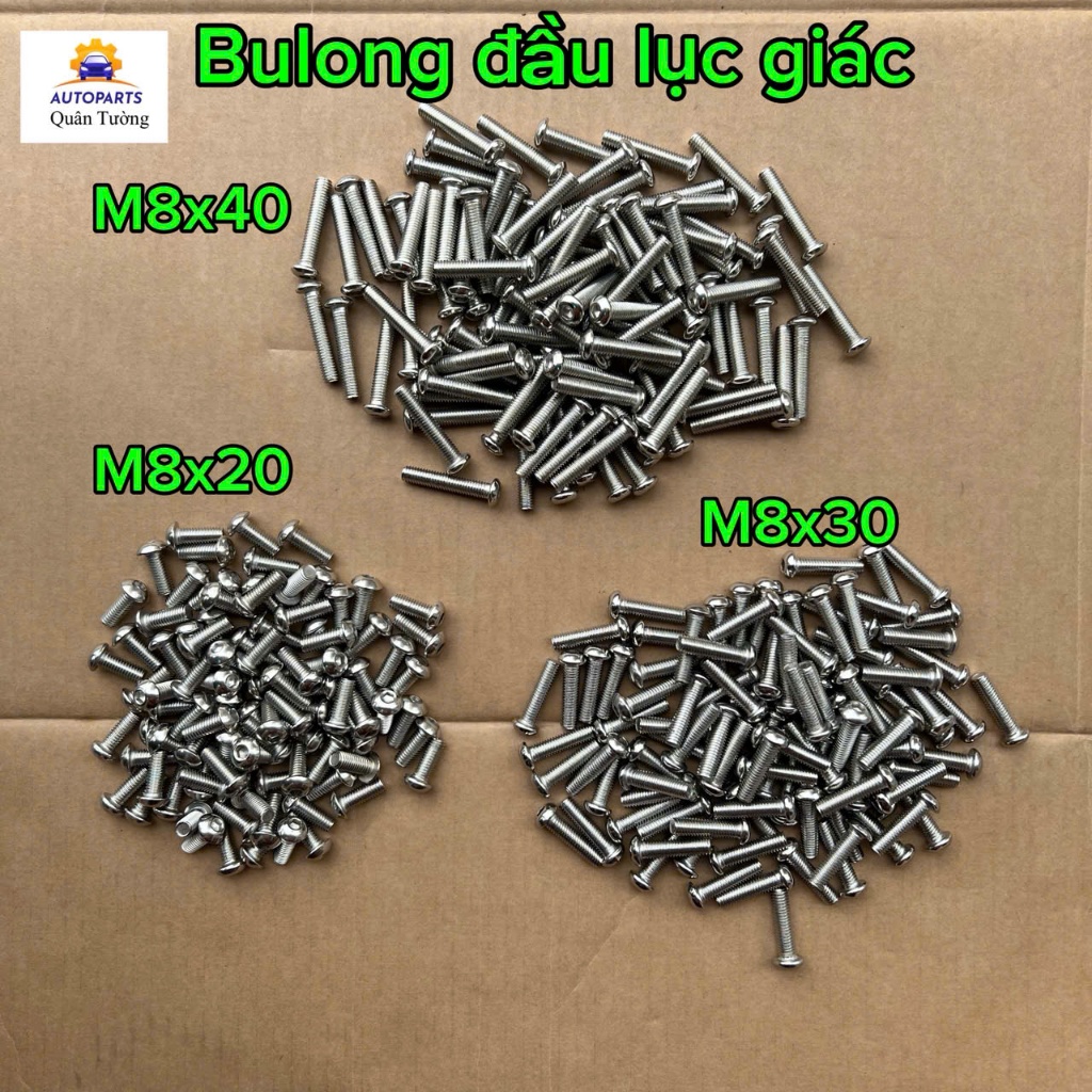 Bulong ( Ốc) đầu lục giác chìm, Ecu, Long đen chất liệu Inox 201