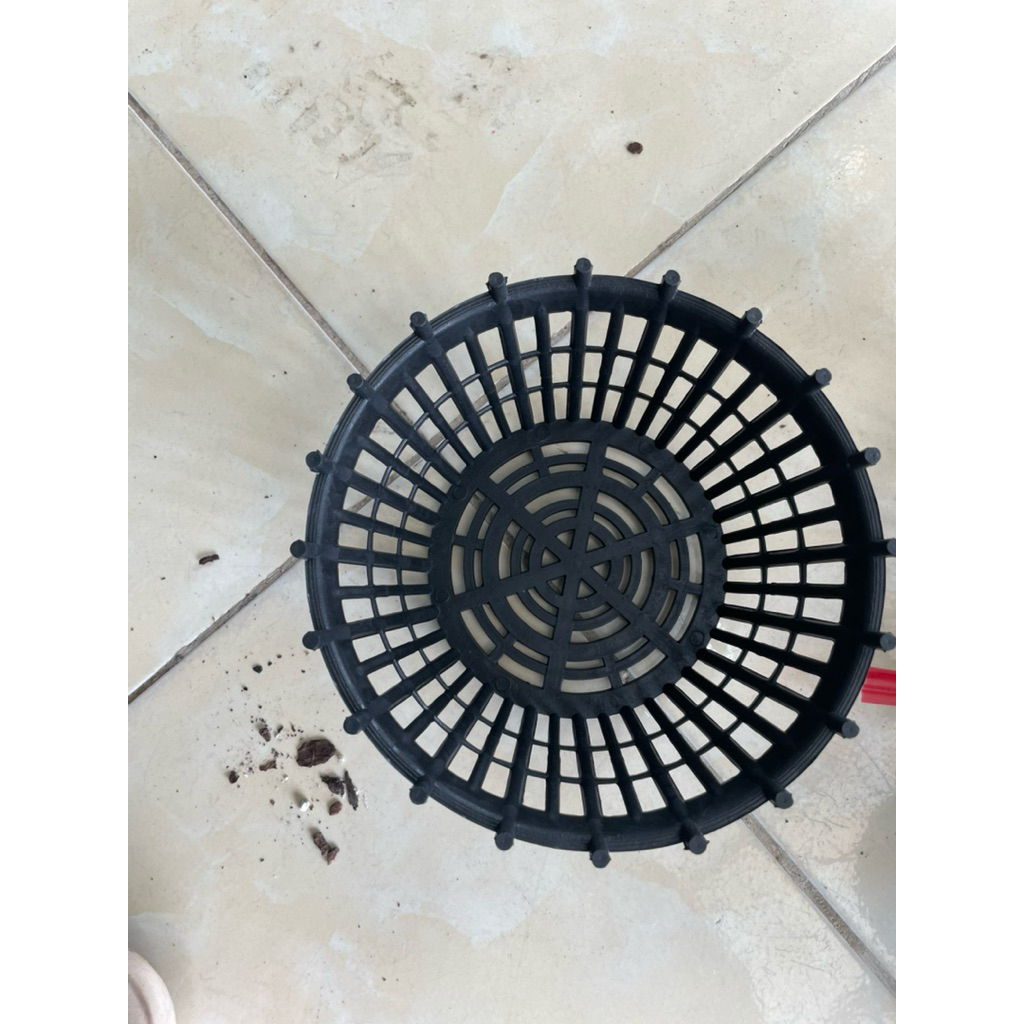 combo 20 chậu nan phụ f20 ( nguyên chậu)