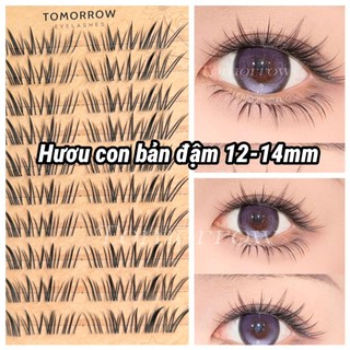 Mi Hươu Con Bản Đậm Mẫu Mới 12-14mm
