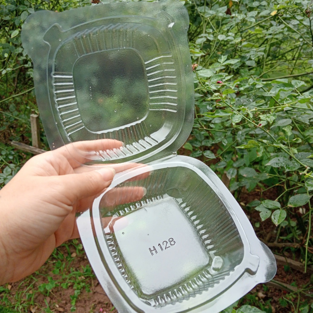 HỘP NHỰA PET TRONG H128 ĐỰNG BÁNH (SET 100 CÁI)