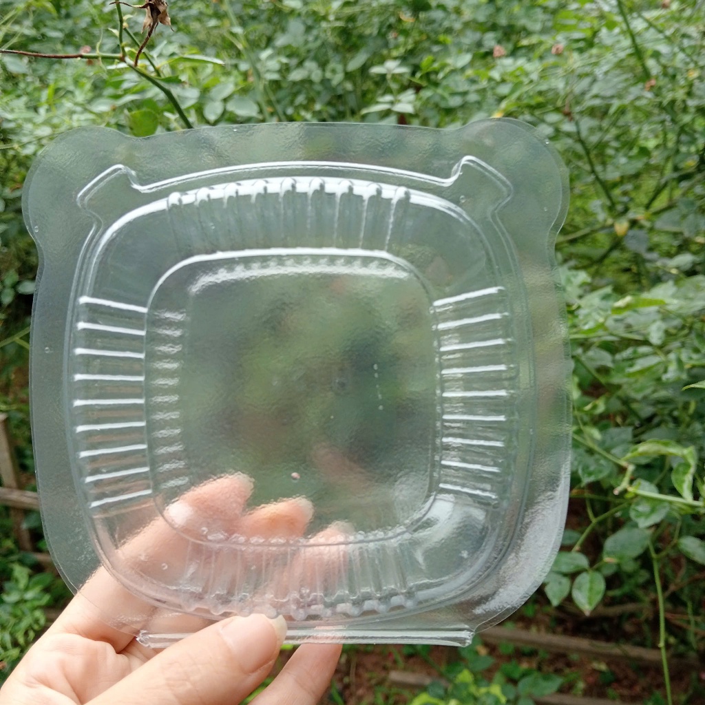 BAO 1800 HỘP NHỰA PET TRONG H128 ĐỰNG BÁNH
