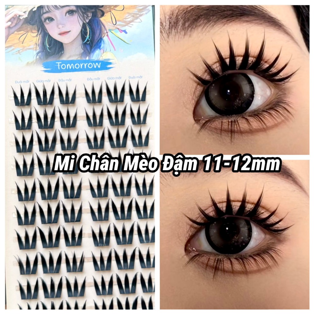 Lông Mi Chân Mèo Đậm Tomorrow 11-12mm
