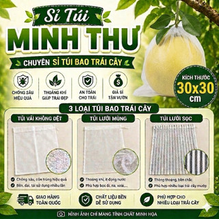 Túi bao trái ( 30x30 ) - 50 cái túi